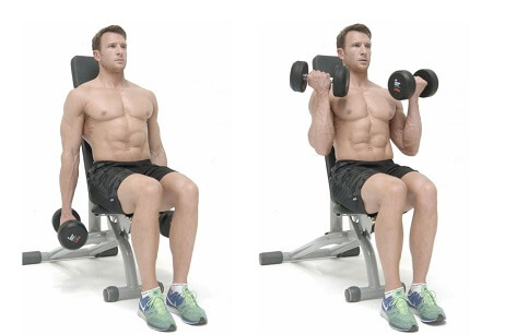Barbell Curls for Bicep Workout