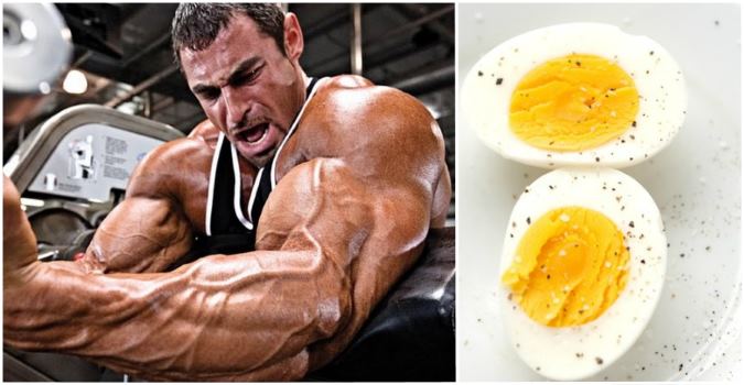 Eggs Royale for bodybuilding: The Best Testosterone Boosting Breakfast