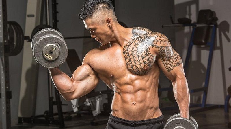 bulk up technique for bodybuilders