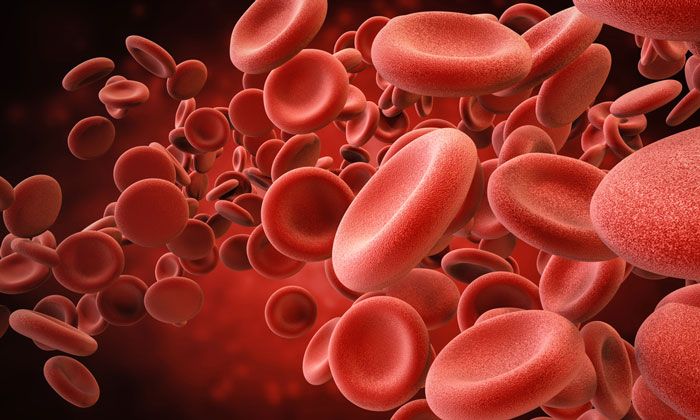  Deca durabolin increases the production of red blood cells