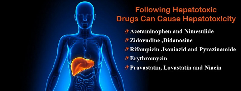 Hepatotoxicity Due to Drugs