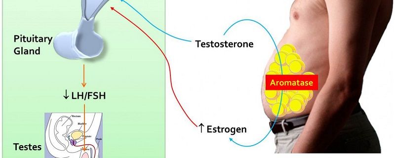 Estrogen Blockers