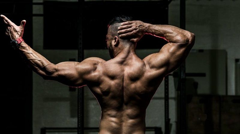 The-5-Best-Ways-to-Build-Your-Back