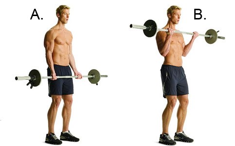 Barbell Curls for Bicep Workout