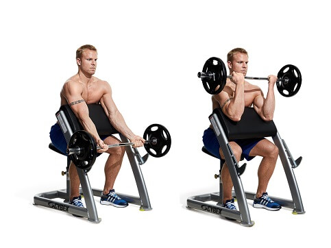 Preacher Curl