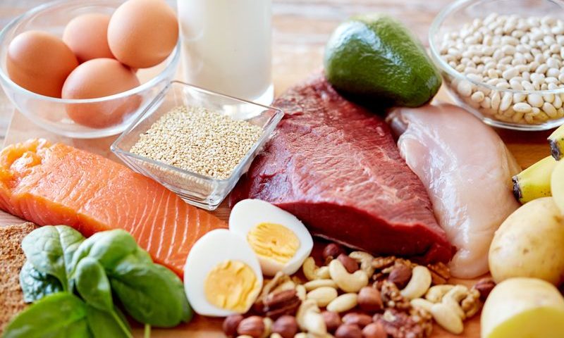 optimal source of protein for building muscle mass