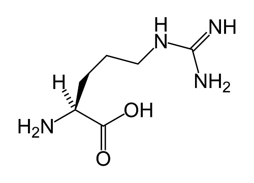 L-Arginine Testosterone