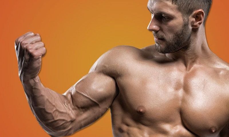 Here are 8 Workout to Help You Get Bigger Shoulders & Arms