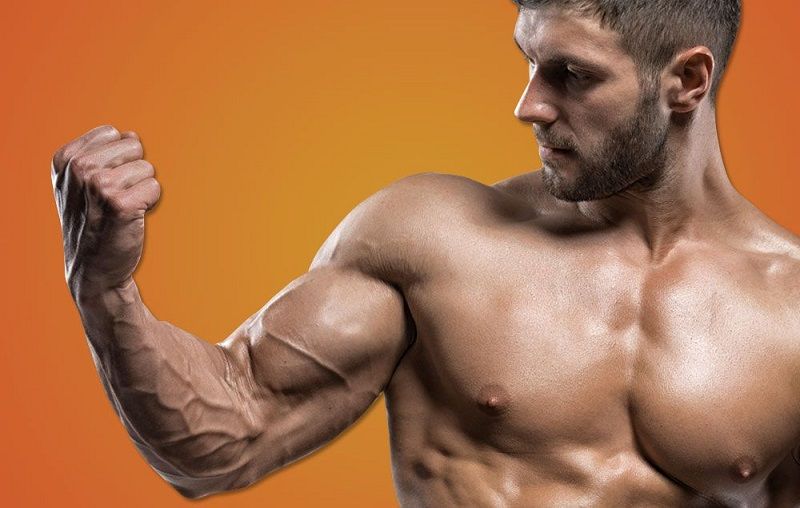 Here are 8 Workout to Help You Get Bigger Shoulders & Arms