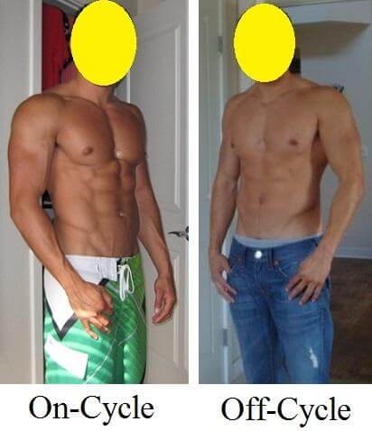 research showing on cycle and off cycle results using testosterone