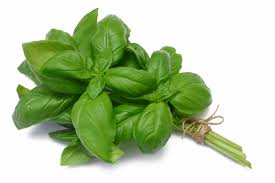 basil-spices and Ingredients that increase testosterone
