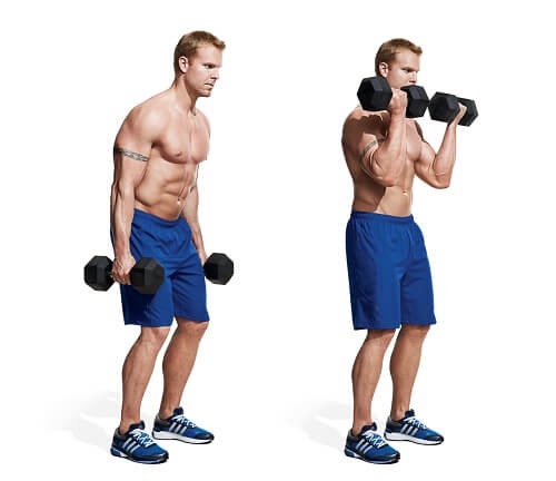 Curl the dumbbells while keeping your palms facing each other.