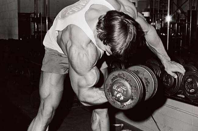 arnold schwarzenegger biceps workout