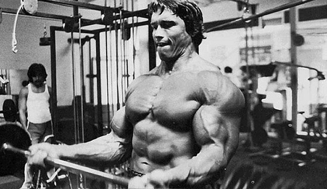 arnold schwarzenegger chest & back workout