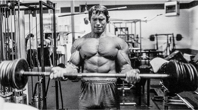 arnold schwarzenegger triceps workout