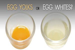 eggs or egg white