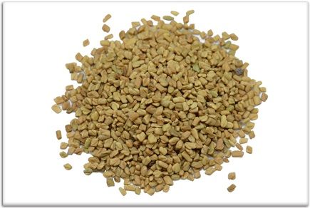 Fenugreek