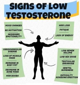 Can Low Testosterone Cause Hair Loss? – Treatments & Medications