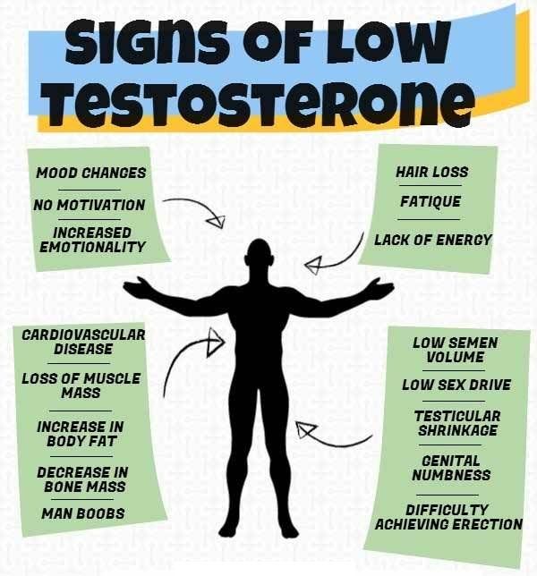 Signs You Suffer from High Testosterone