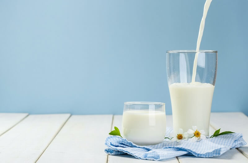 milk protein foods