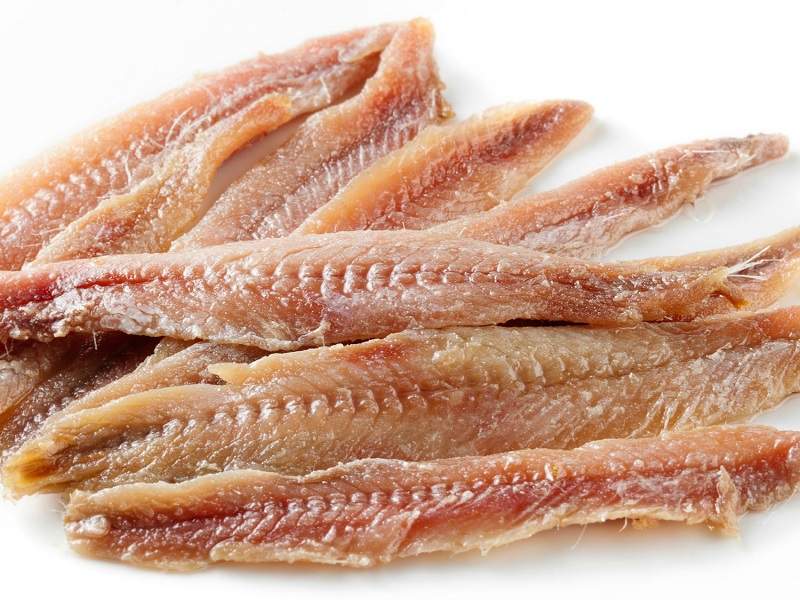 Anchovies Protein Foods