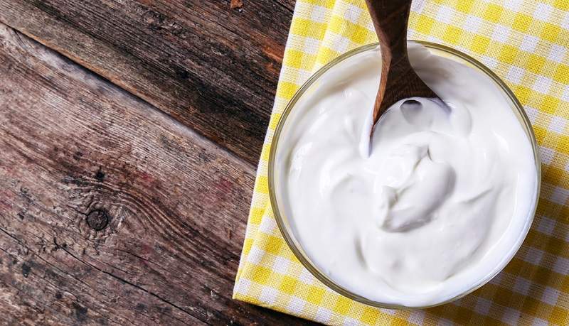 greek-yogurt-protein-foods