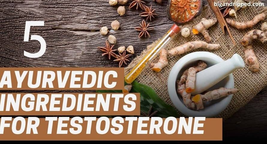 Ayurvedic-Ingredients-for-Testosterone