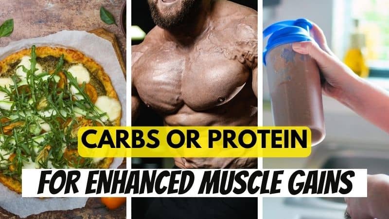 Carbs or protein for muscle gains