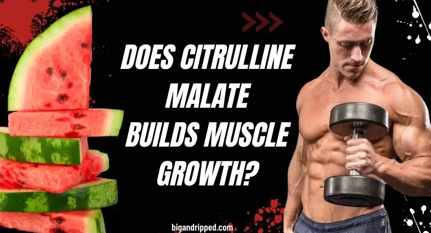 Does Citrulline Malate Build Muscle Growth