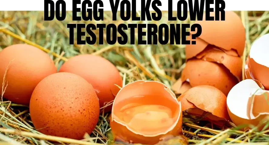 Do Egg Yolks Lower Testosterone