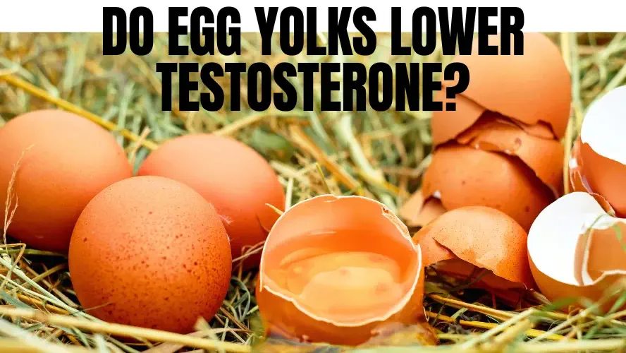 do-egg-yolks-lower-testosterone-debunking-the-myth