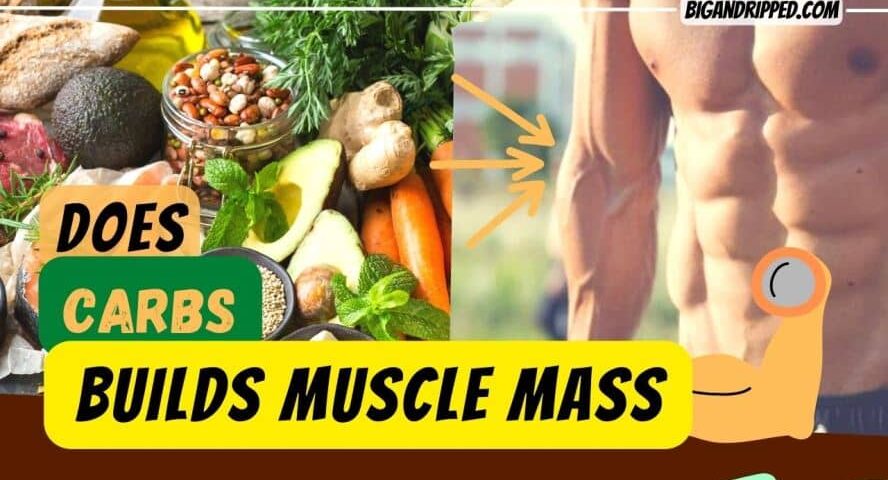 Do You Need Carbs To Build Muscle