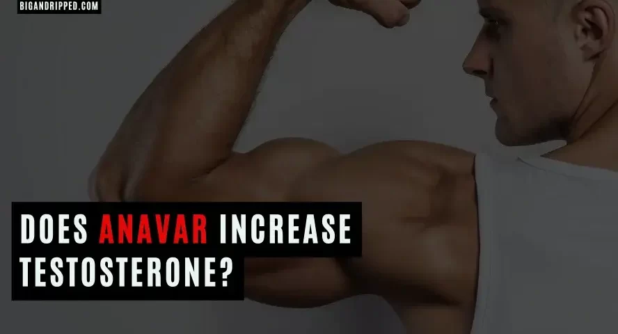 Does Anavar Increase Testosterone
