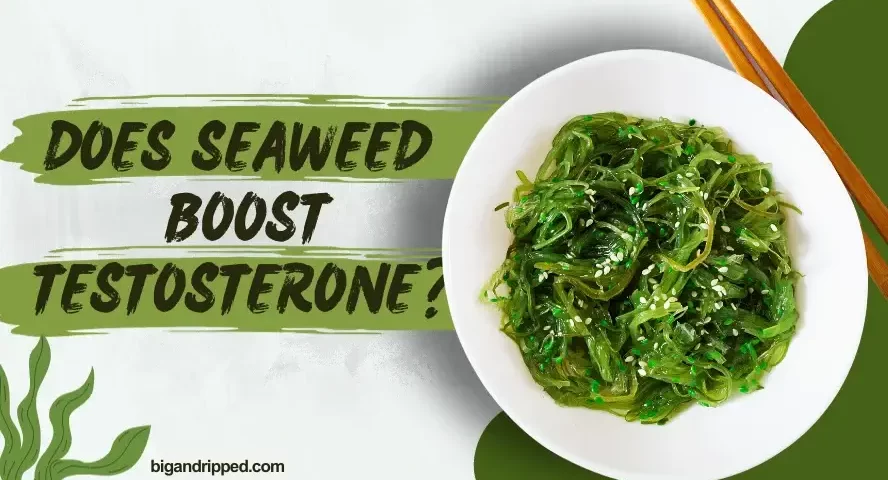 Does Seaweed boost Testosterone