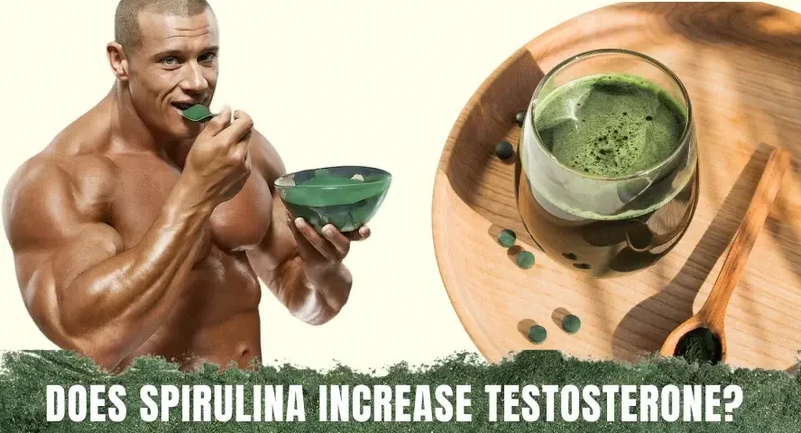 Does Spirulina Increases Testosterone