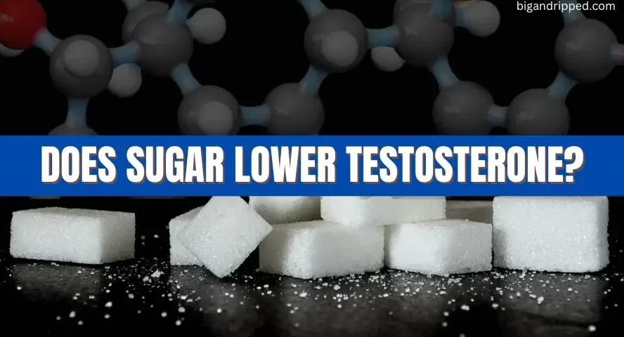 Does Sugar Lower Testosterone