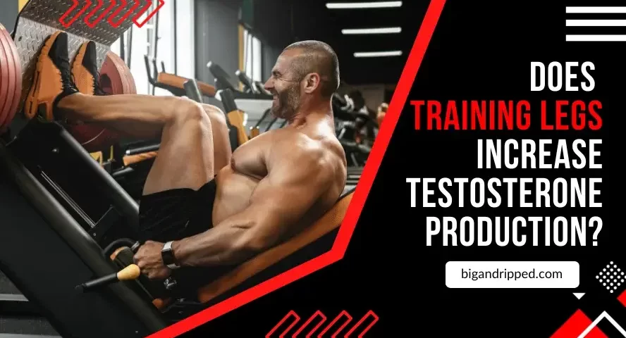 Does Training Legs Increase Testosterone