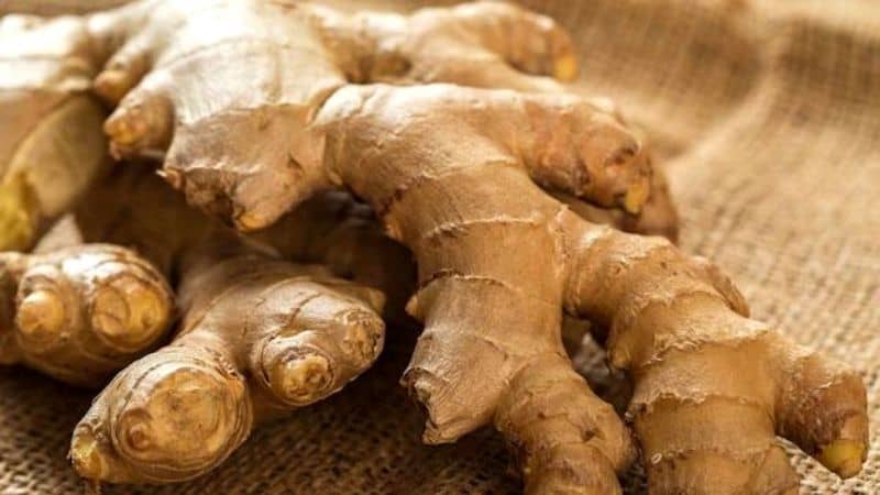 How Does Ginger Boost Testosterone