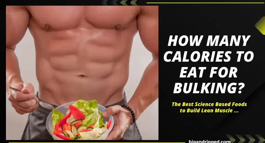 How Many Calories to Eat For Bulking