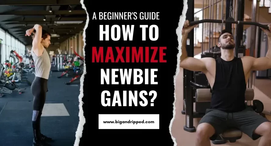 How To Maximize Newbie Gains