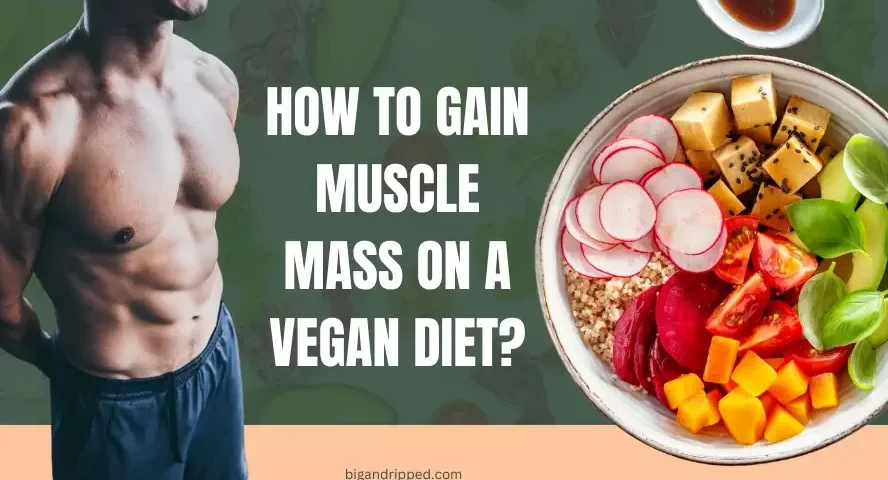 How to Gain Muscle Mass On A Vegan Diet