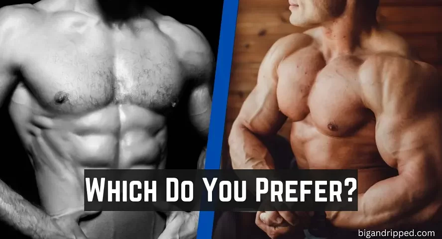Lean Muscle Vs Bulky Muscle Which One Should You Prefer 