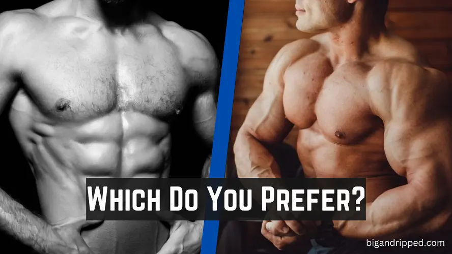 Lean Muscle vs Bulk Muscle - What's the Difference? – Prorganiq