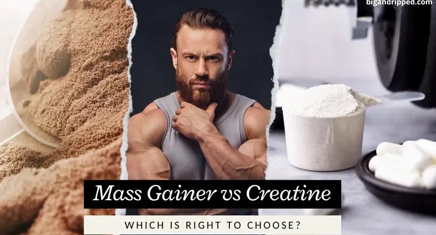Mass Gainer vs Creatine