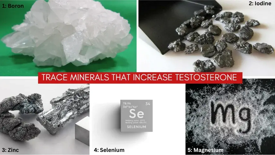 Minerals That Boost Testosterone