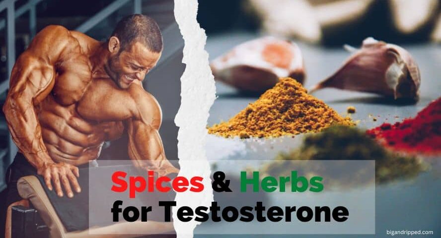 herbs for testosterone