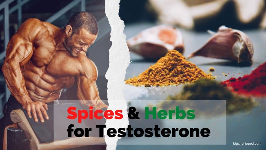 herbs for testosterone
