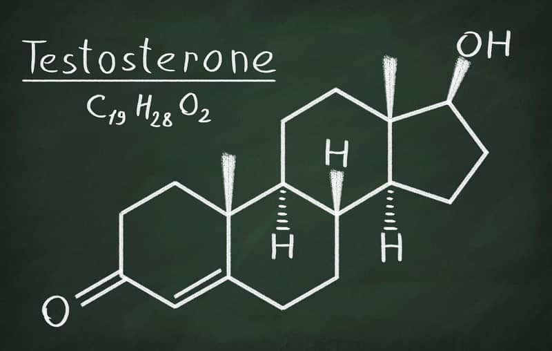 Testosterone-Molecular-Structure