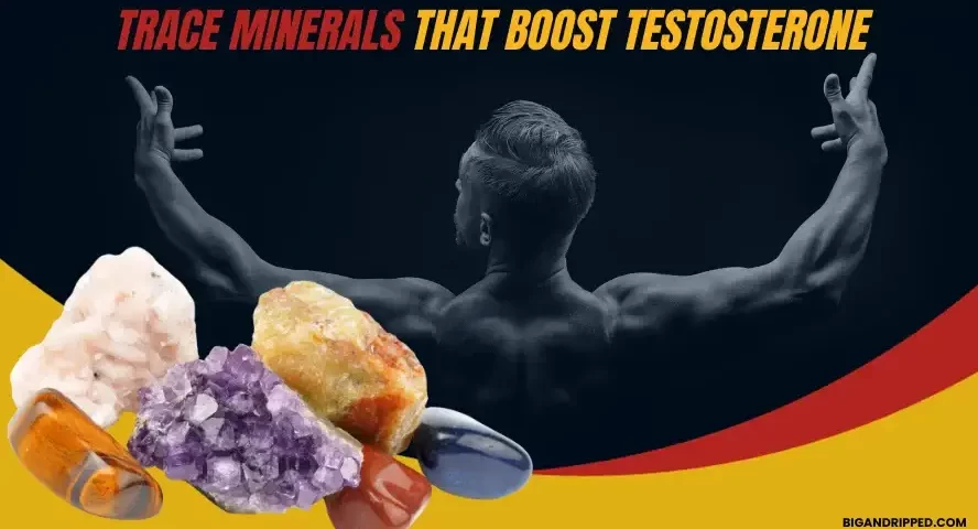 trace minerals that increase testosterone