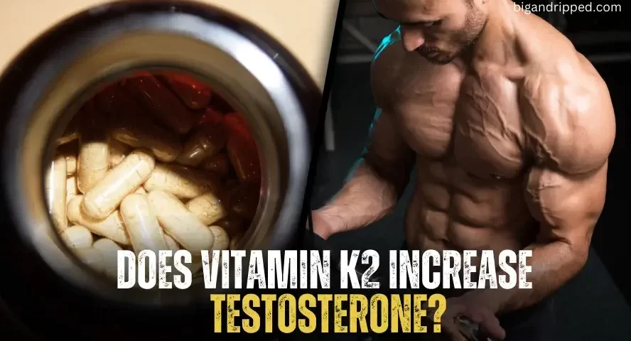Does Vitamin K2 Increase Testosterone